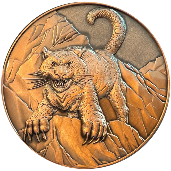 Load image into Gallery viewer, Pathfinder "Lini & Droogami" Goliath Coin