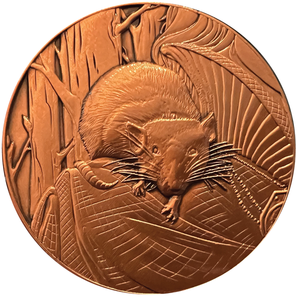 Load image into Gallery viewer, Rat Goliath Coin