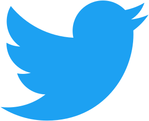 Icon showing Twitter logo which is a blue bird